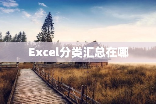 Excel分类汇总在哪