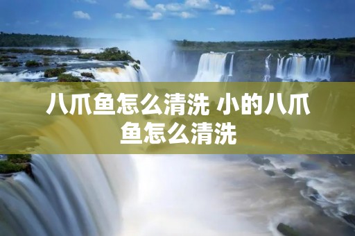 八爪鱼怎么清洗 小的八爪鱼怎么清洗