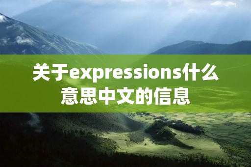 关于expressions什么意思中文的信息
