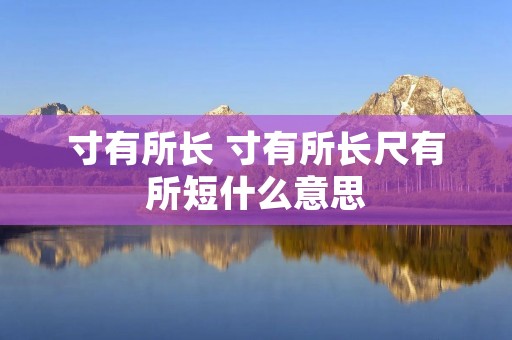 寸有所长 寸有所长尺有所短什么意思 寸有所长 寸有所长尺有所短什么意思