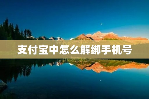 支付宝中怎么解绑手机号