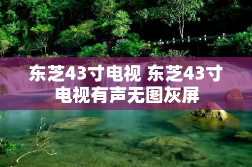 东芝43寸电视 东芝43寸电视有声无图灰屏 东芝43寸电视 东芝43寸电视有声无图灰屏