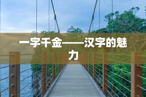 一字千金——汉字的魅力