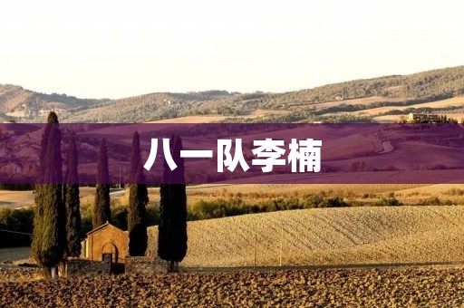 八一队李楠:从球员到教练的辉煌历程 八一队李楠:从球员到教练的辉煌历程
