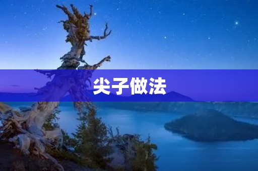 尖子做法:让你成为学霸的秘密武器 尖子做法:让你成为学霸的秘密武器