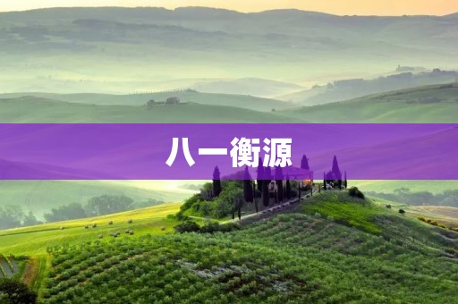 八一衡源：打造精准称重行业的领航者