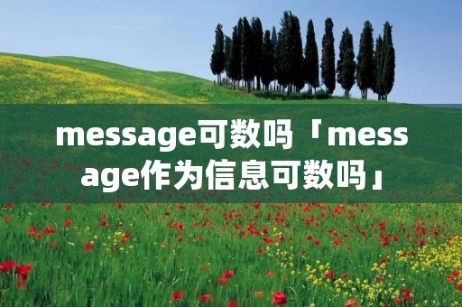 message可数吗「message作为信息可数吗」