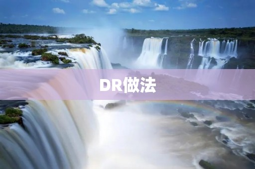 DR做法：在数据备份和恢复中的应用