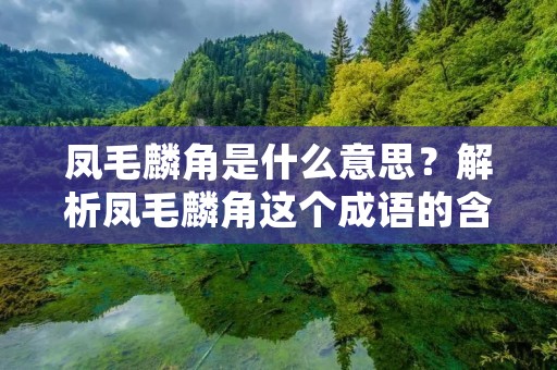 凤毛麟角是什么意思?解析凤毛麟角这个成语的含义