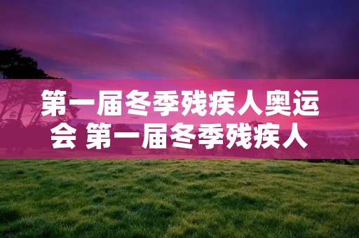 第一届冬季残疾人奥运会 第一届冬季残疾人奥运会在哪一年举办