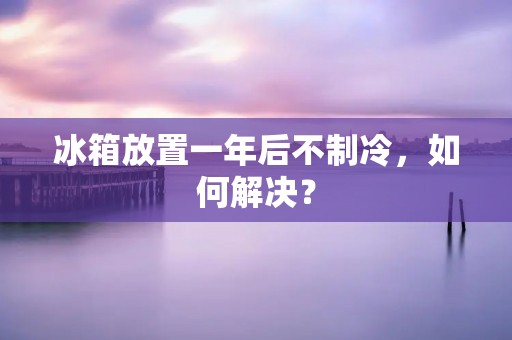 冰箱放置一年后不制冷，如何解决？