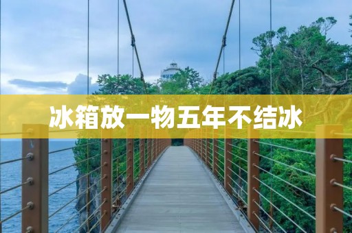 冰箱放一物五年不结冰:背后的原因和启示 冰箱放一物五年不结冰:背后的原因和启示