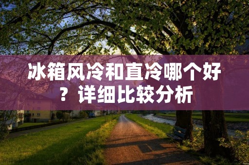 冰箱风冷和直冷哪个好？详细比较分析
