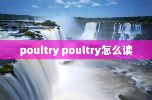 poultry poultry怎么读