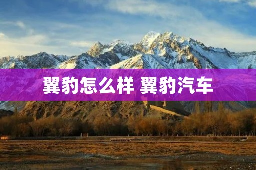 翼豹怎么样 翼豹汽车 翼豹怎么样 翼豹汽车