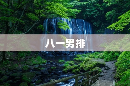 八一男排:挑战历史,再创辉煌 八一男排:挑战历史,再创辉煌