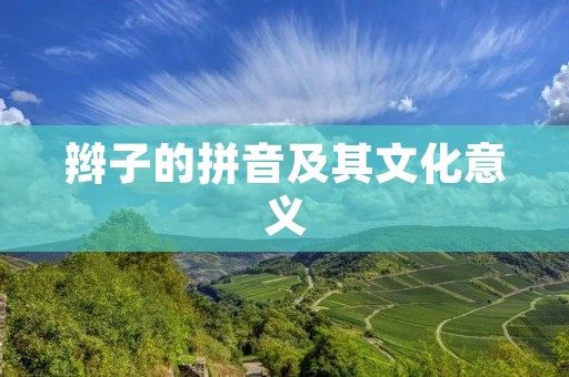 辫子的拼音及其文化意义