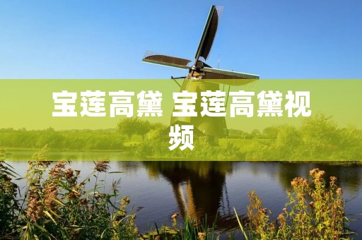 宝莲高黛 宝莲高黛视频