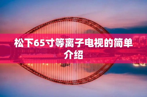 松下65寸等离子电视的简单介绍