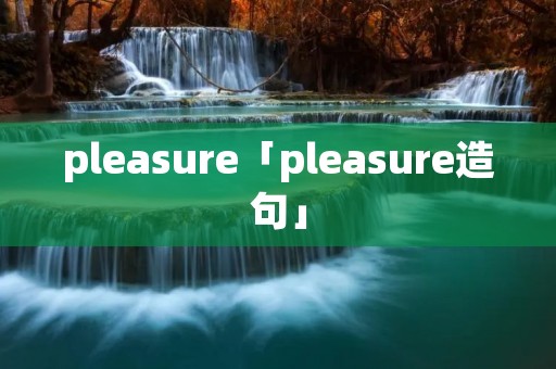 pleasure「pleasure造句」