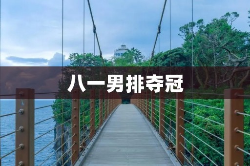 八一男排夺冠：一个属于勇士的故事