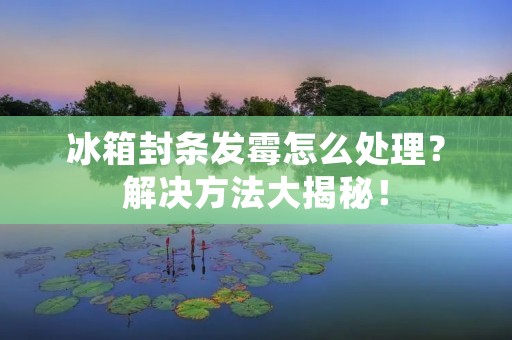 冰箱封条发霉怎么处理?解决方法大揭秘! 冰箱封条发霉怎么处理?解决方法大揭秘!