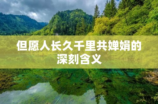 但愿人长久千里共婵娟的深刻含义