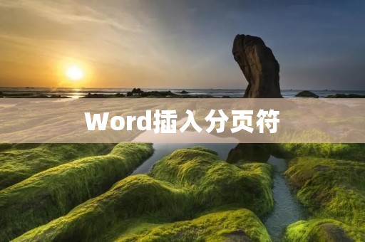 Word插入分页符