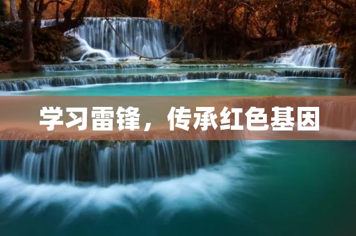 学习雷锋,传承红色基因