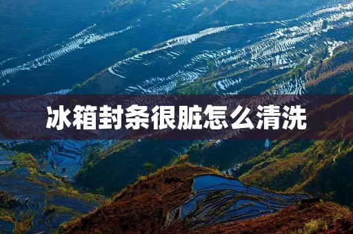 冰箱封条很脏怎么清洗 冰箱封条很脏怎么清洗