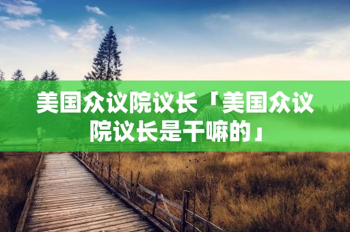美国众议院议长「美国众议院议长是干嘛的」