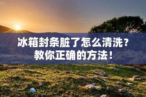 冰箱封条脏了怎么清洗？教你正确的方法！
