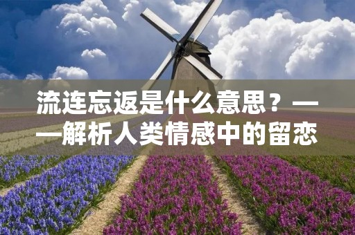 流连忘返是什么意思?——解析人类情感中的留恋与依恋