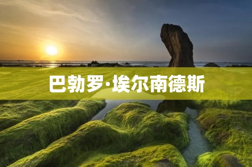 巴勃罗·埃尔南德斯：拉丁美洲文学的巨匠