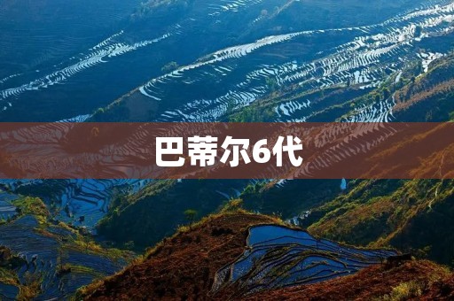 巴蒂尔6代:一部经典的美国文化史 巴蒂尔6代:一部经典的美国文化史
