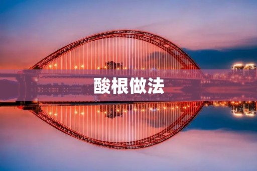 酸根做法：让你轻松制作美味的酸味佳肴