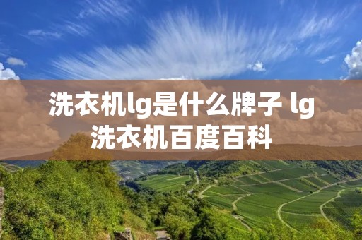 洗衣机lg是什么牌子 lg洗衣机百度百科