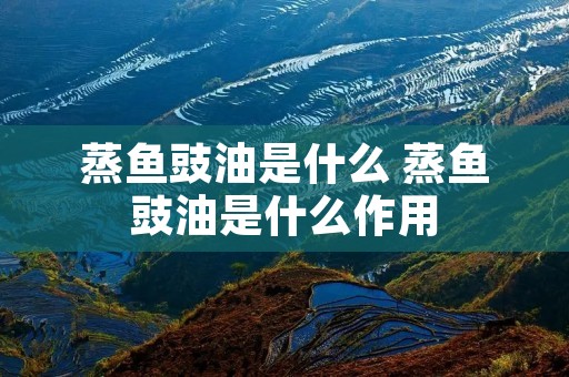 蒸鱼豉油是什么 蒸鱼豉油是什么作用