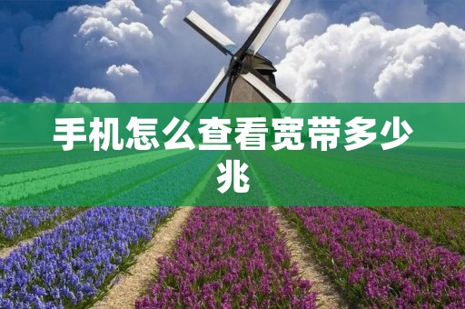 手机怎么查看宽带多少兆