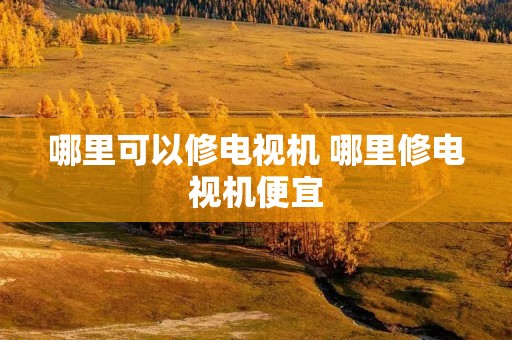 哪里可以修电视机 哪里修电视机便宜