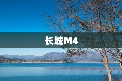 长城M4:一款实力派SUV 长城M4:一款实力派SUV