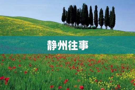 静州往事:那些被岁月遗忘的故事 静州往事:那些被岁月遗忘的故事