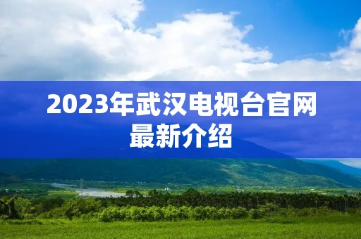 2023年武汉电视台官网最新介绍