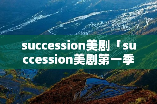 succession美剧「succession美剧第一季」 succession美剧「succession美剧第一季」