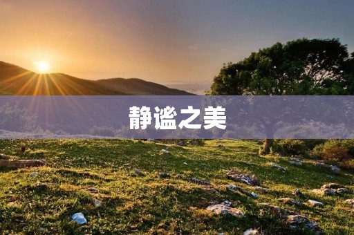 静谧之美:探究静字组词的内涵与魅力 静谧之美:探究静字组词的内涵与魅力