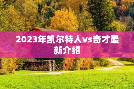 2023年凯尔特人vs奇才最新介绍