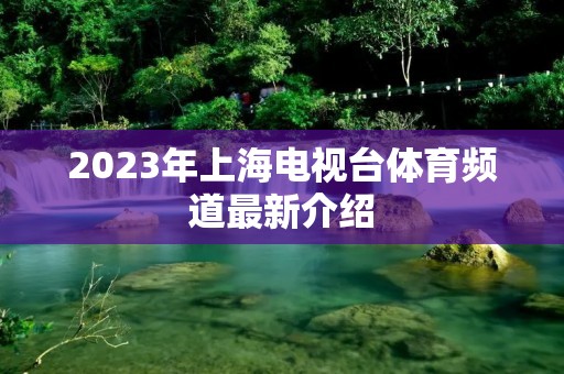 2023年上海电视台体育频道最新介绍