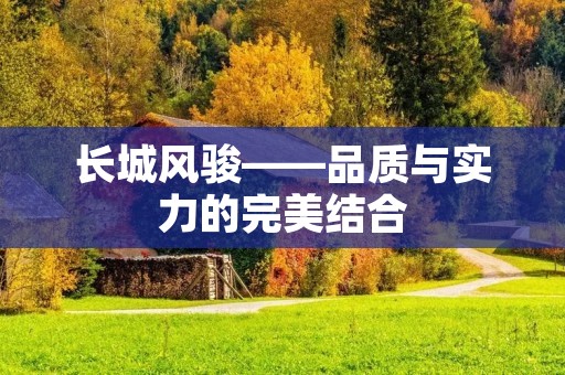 长城风骏——品质与实力的完美结合