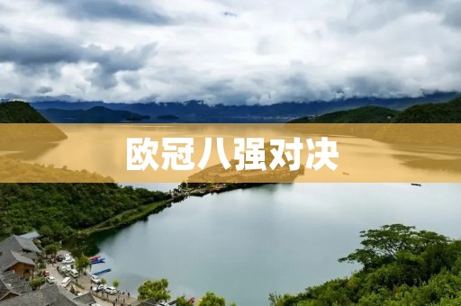 欧冠八强对决：拜仁vs波尔图