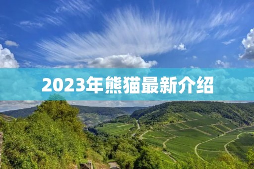 2023年熊猫最新介绍